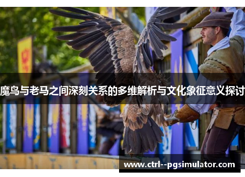 魔鸟与老马之间深刻关系的多维解析与文化象征意义探讨