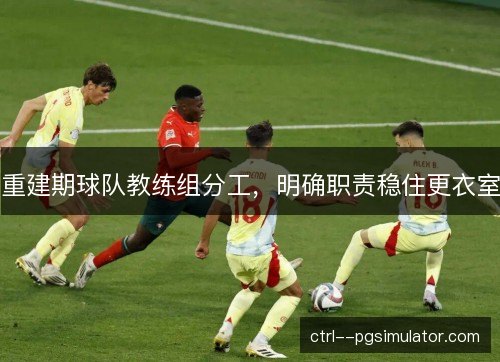 重建期球队教练组分工,明确职责稳住更衣室 重建期球队教练组分工,明确职责稳住更衣室